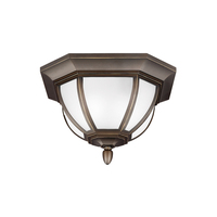 Ceiling Mounted Light 13-1/2" Width Ceiling Mounted Light 13-1/2" Width