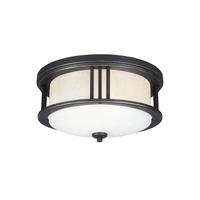 Ceiling Mounted Light Ceiling Mounted Light