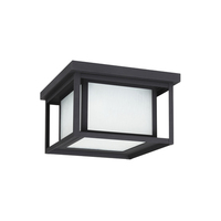 Ceiling Mounted Light 10" Width Ceiling Mounted Light 10" Width