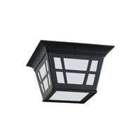 Ceiling Mounted Light 10-3/4" Width Ceiling Mounted Light 10-3/4" Width