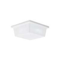 Flush Mount Ceiling Light 10-1/4" Width