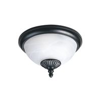 Ceiling Mounted Light Ceiling Mounted Light