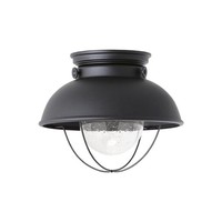 Ceiling Mounted Light Ceiling Mounted Light