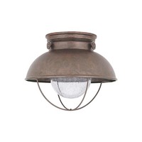 Ceiling Mounted Light Ceiling Mounted Light