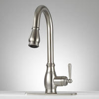 Pull-Out Spray Kitchen Faucet Single-Hole Pull-Out Spray Kitchen Faucet Single-Hole