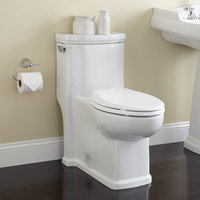 One Piece Toilet Elongated bowl One Piece Toilet Elongated bowl