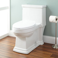 One Piece Toilet Elongated bowl One Piece Toilet Elongated bowl
