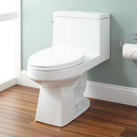 One Piece Toilet Elongated bowl One Piece Toilet Elongated bowl
