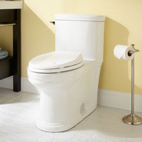 One Piece Toilet Elongated bowl One Piece Toilet Elongated bowl