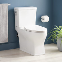 Two Piece Toilet Compact Elongated Two Piece Toilet Compact Elongated