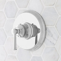 Custom Shower Thermostatic Valve