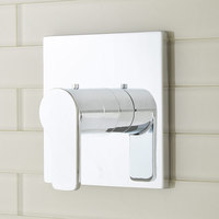 Thermostatic Valve Trim