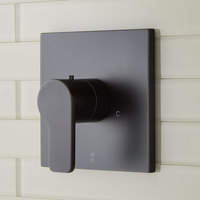 Thermostatic Valve Trim