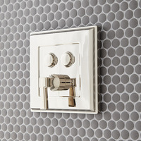 Non-Thermostatic Valve Trim