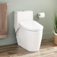 One Piece Toilet Elongated bowl