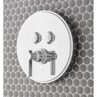 Custome Shower Non-Thermostatic Valve