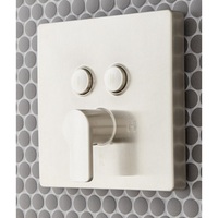 Custome Shower Non-Thermostatic Valve