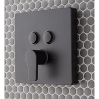 Custome Shower Non-Thermostatic Valve