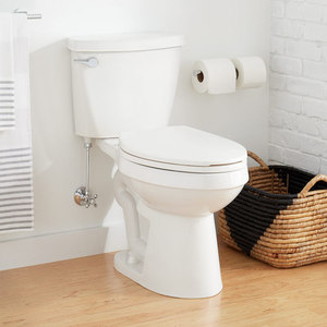 SIG447371 Bradenton Two Piece Toilet - White SIG447371 Bradenton Two Piece Toilet - White