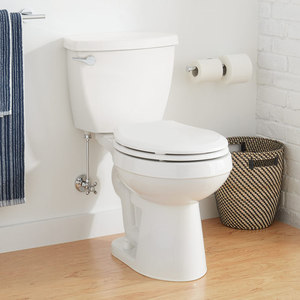 SIG447368 Bradenton Two Piece Toilet - White SIG447368 Bradenton Two Piece Toilet - White