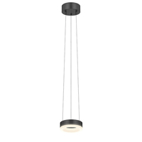 Down Light Pendant Down Light Pendant