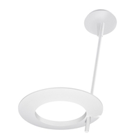 Down Light Pendant 12" Width Down Light Pendant 12" Width