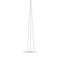 Down Light Pendant Down Light Pendant