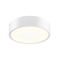 Flush Mount Ceiling Light Flush Mount Ceiling Light