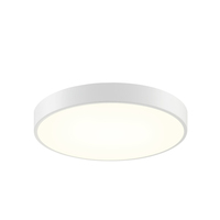 Flush Mount Ceiling Light Flush Mount Ceiling Light