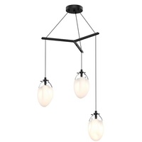 Multi Light Pendant Multi Light Pendant