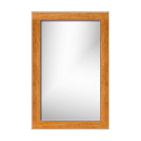 Square/Rectangular Mirror 29-1/2 x 3/4 x 19-1/2