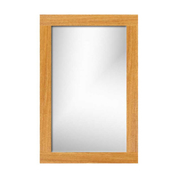 Square/Rectangular Mirror 29-1/2 x 3/4 x 19-1/2