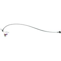 1 Bulb Wall Sconce 1 Bulb Wall Sconce
