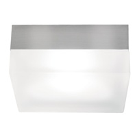 Flush Mount Ceiling Light 9" Width Flush Mount Ceiling Light 9" Width
