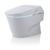 Toilet Seat