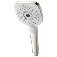 Hand Held Shower