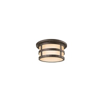 Ceiling Mounted Light 15" Width Ceiling Mounted Light 15" Width